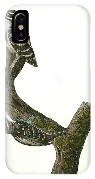 320x600 hairy woodpecker male female drawing