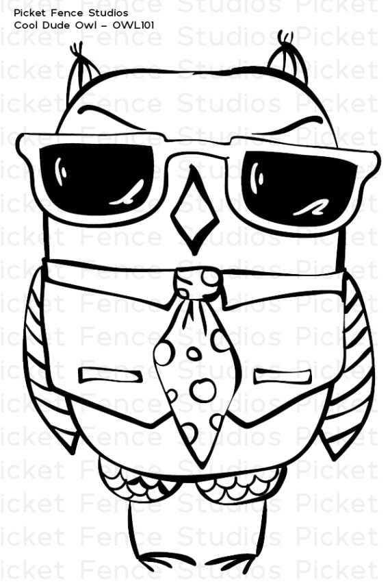 570x855 Picket Fence Studios