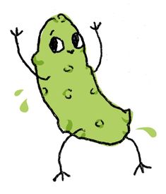 235x274 Best Pickle Images In Pickles