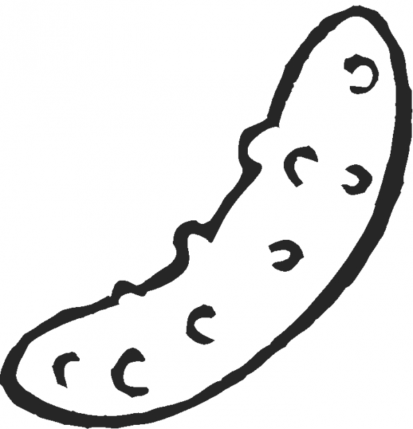 595x619 Collection Of Free Pickle Clipart Coloring