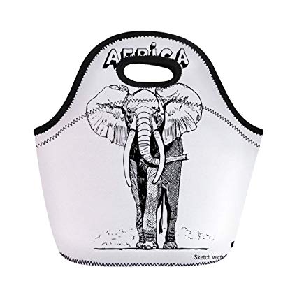 425x425 Semtomn Lunch Tote Bag Animal African Elephant