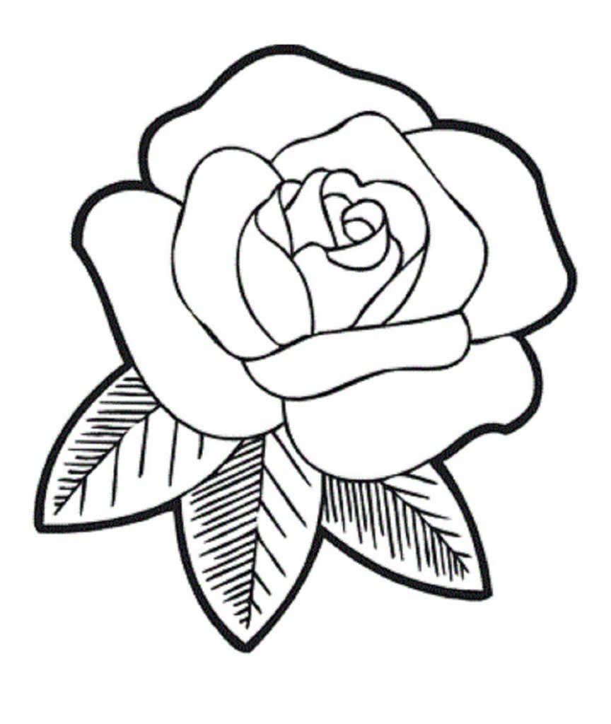 864x1024 How To Sketch A Simple Rose Roses Drawings
