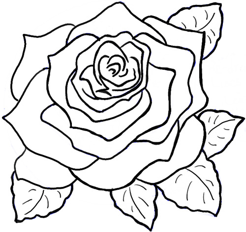 500x473 Huge Collection Of 'roses Drawing Simple' Download More Than