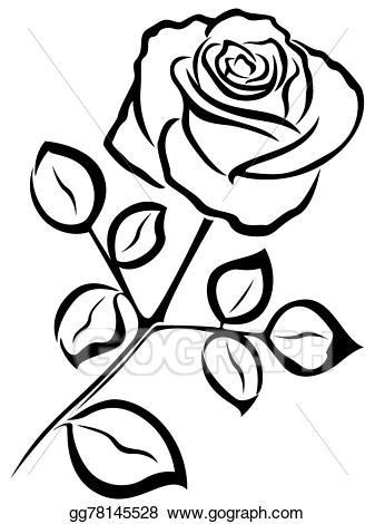337x470 Rose Clipart Drawing