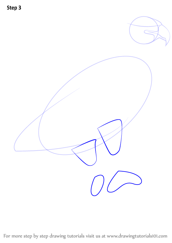 598x844 With This Easy Step Pictorial About How To Draw A Eagle, It Is