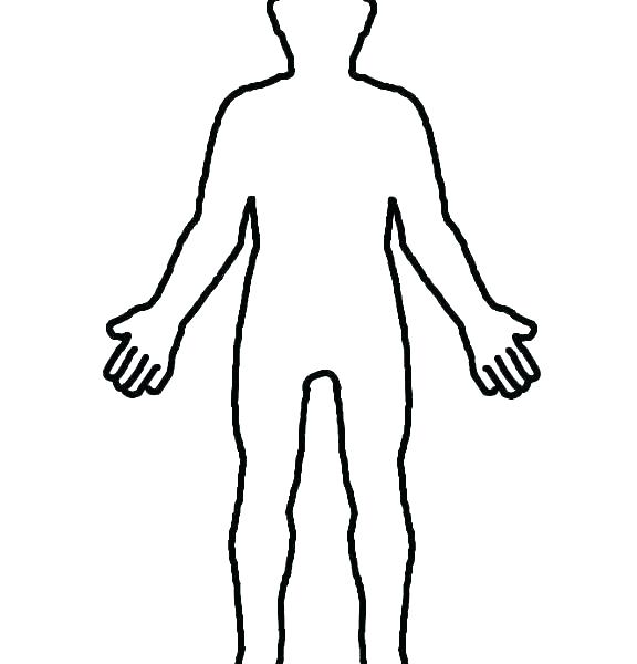 576x600 Human Drawing Template