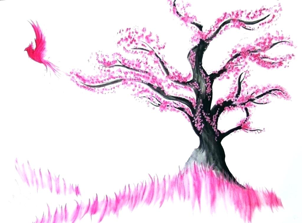 1024x757 cherry blossoms drawing tree drawing on tree cherry blossom tree