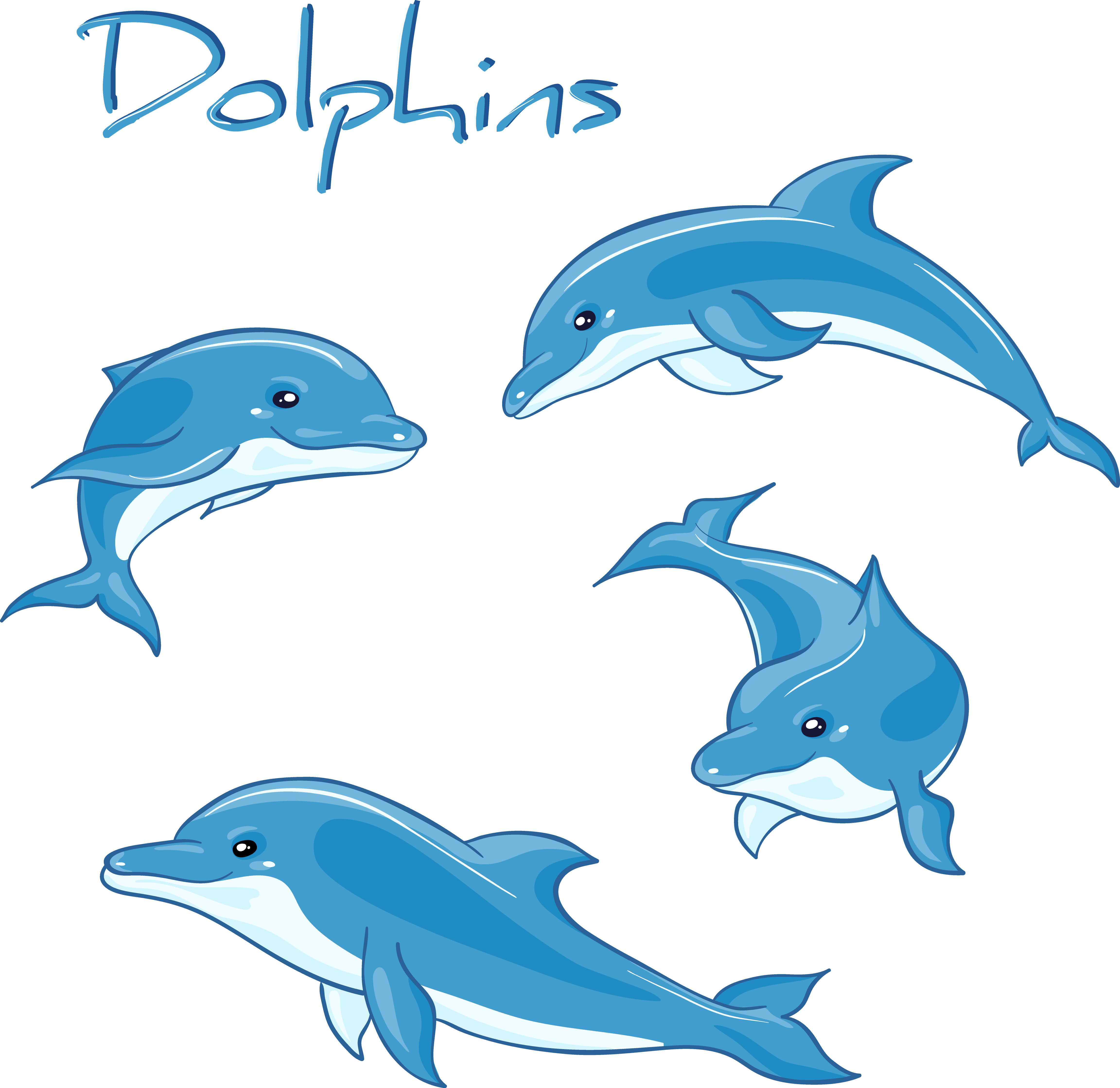 Pictures Of Dolphins Drawing