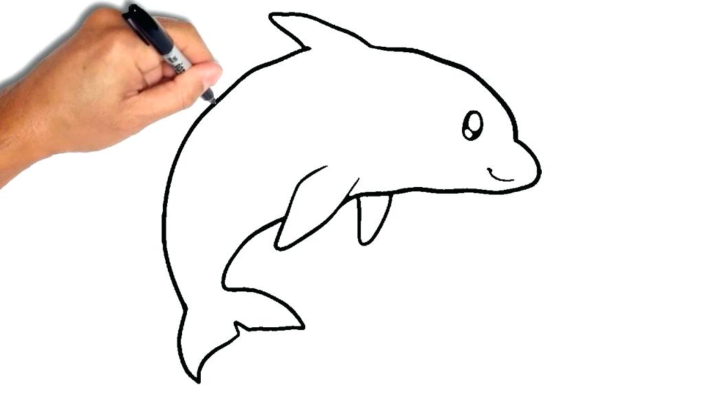 1024x576 draw dolphins how to draw a dolphin step draw cute dolphins