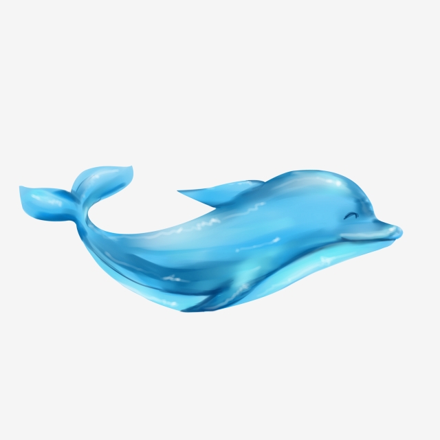 640x640 drawing dolphins, dolphins clipart, hand painted dolphin, color