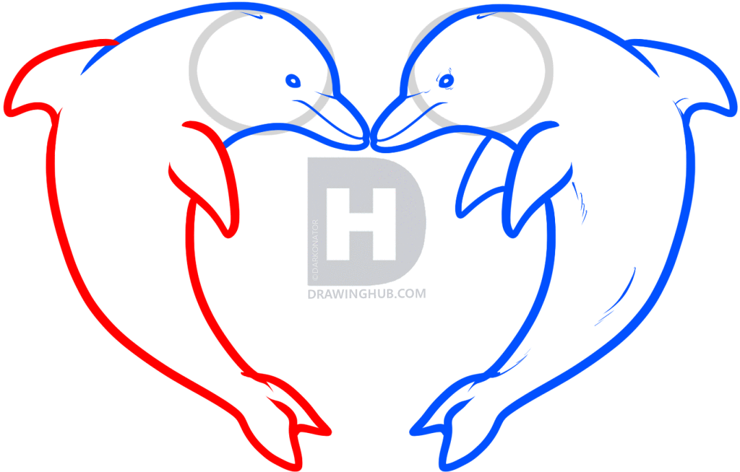 1080x690 How To Draw Love Dolphins, Dolphin Heart, Step