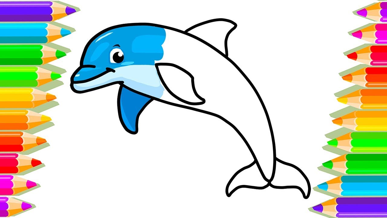 1280x720 How To Draw A Dolphin Drawing Colouring Dolphins Easy