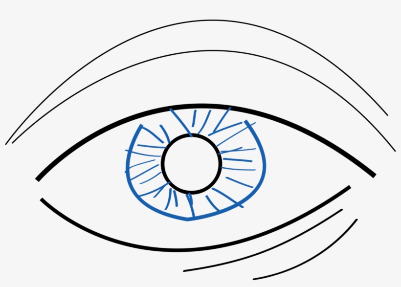 820x587 Eye Drawing Png, Png Collections