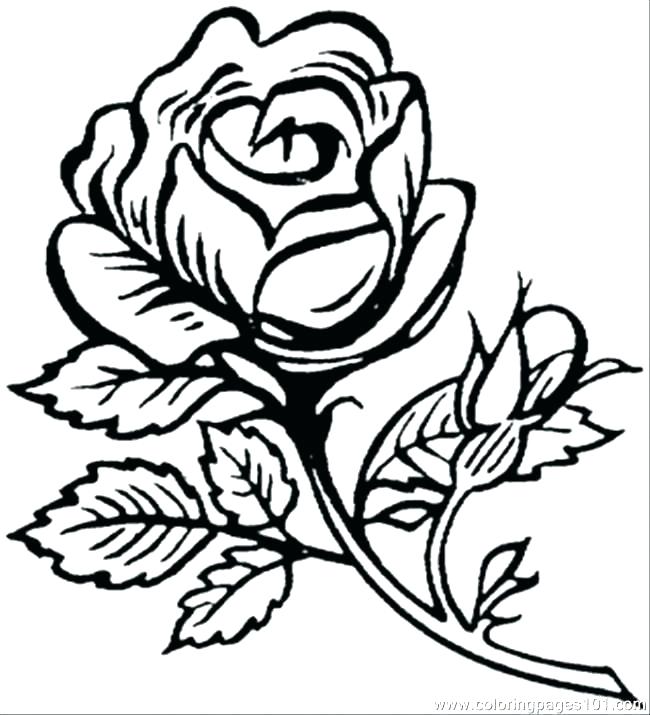650x715 Drawings Of Pretty Flowers Collection Of Coloring Pages