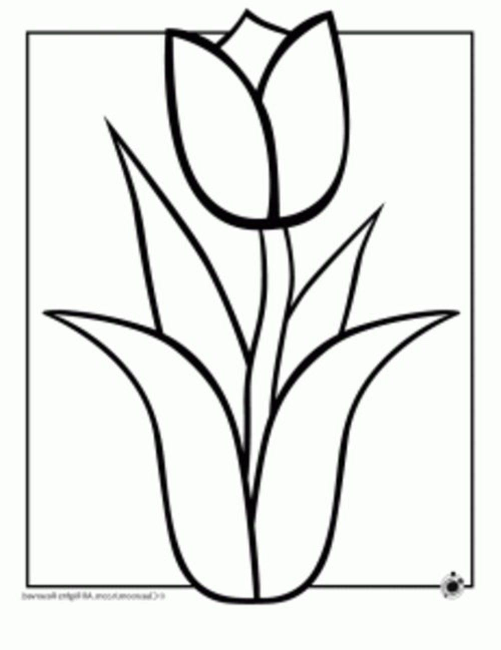 1000x1298 Flowers Drawing Pages Free Download Clip Art