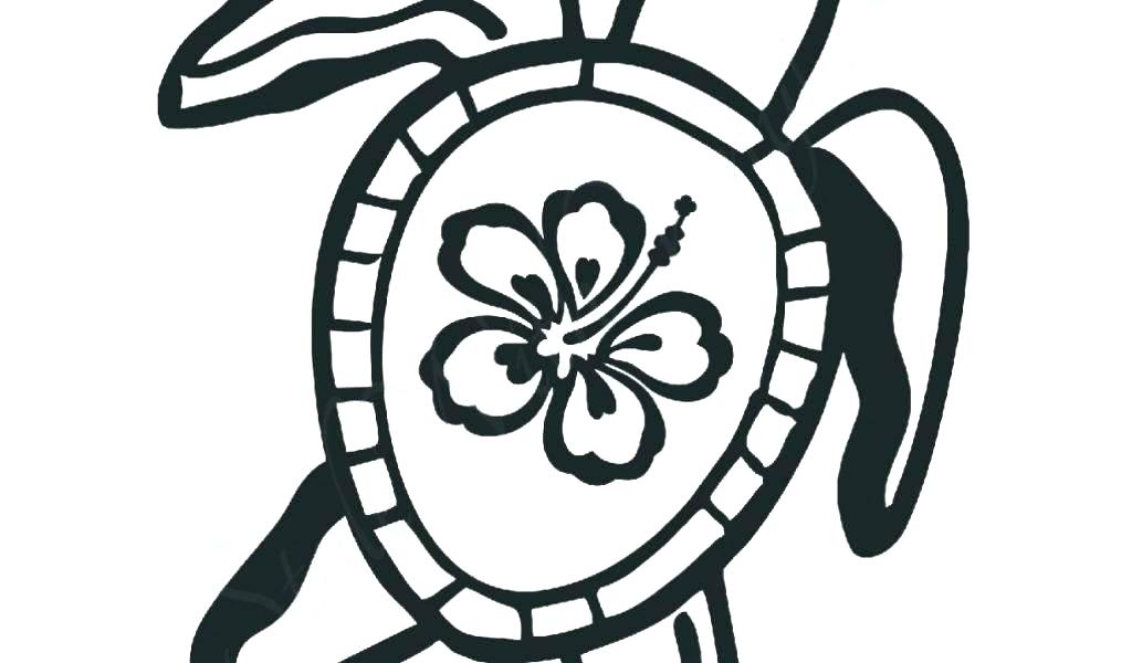 1024x600 Hawaiian Flower Drawing