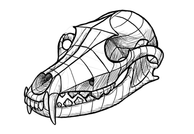 400x277 How To Use An Animal Skull For An Art Study