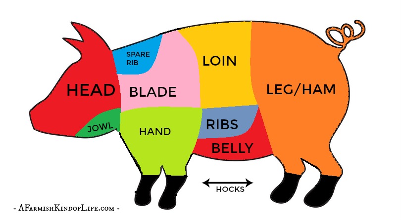 810x450 Pork Clipart Pig Butcher