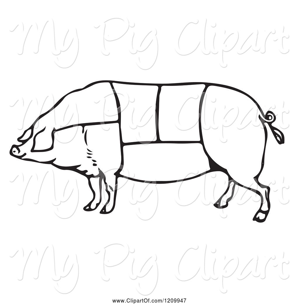 1024x1044 Swine Clipart Of Black And White Pig With Butcher Sections Of Meat