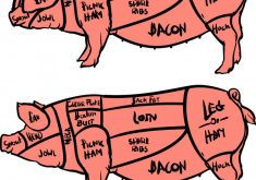 235x165 Wonderful How To Cut Up A Pig Diagram Butchering Cuts Of Hog Hello