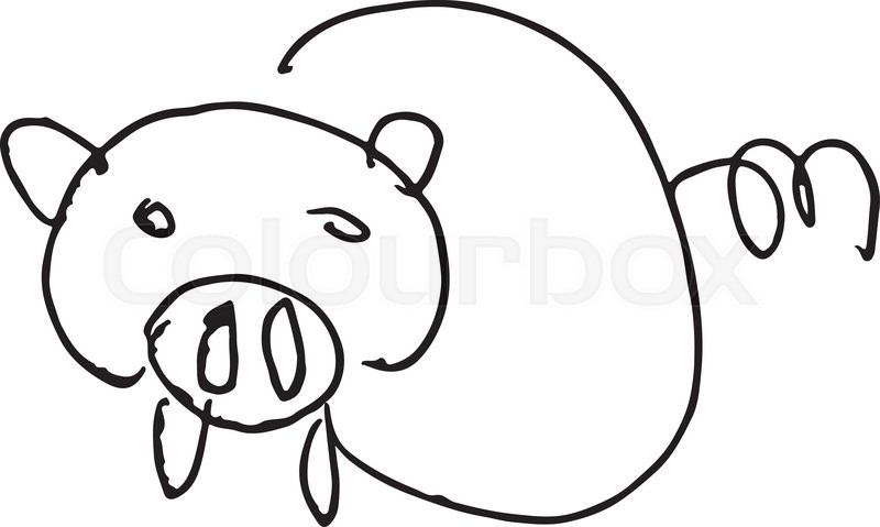 800x479 Pig Doodle Hand Drawn