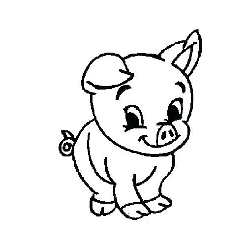 502x500 Cartoon Pig Drawing Pig Cartoon How To Draw A Cartoon Pig