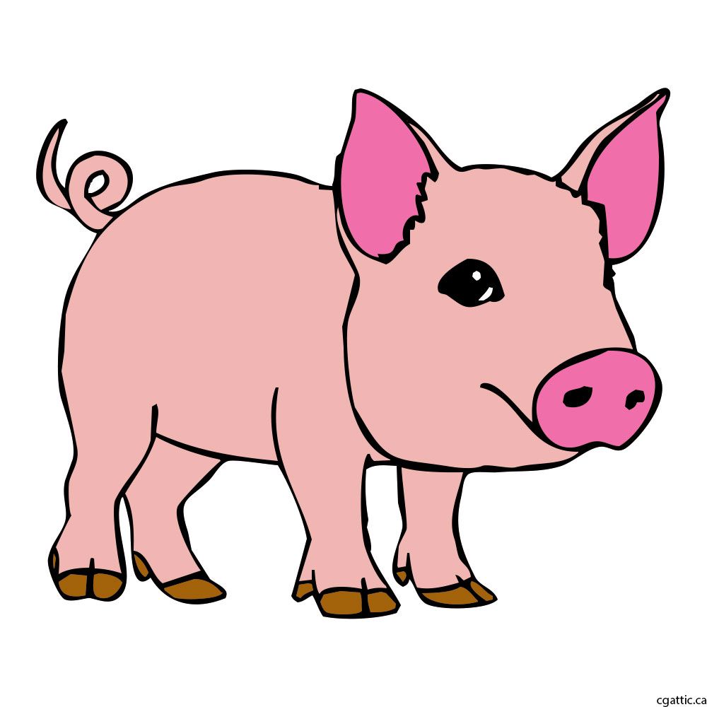 1000x1000 Pig Cartoon Drawing In Steps With Photoshop In Embroidery