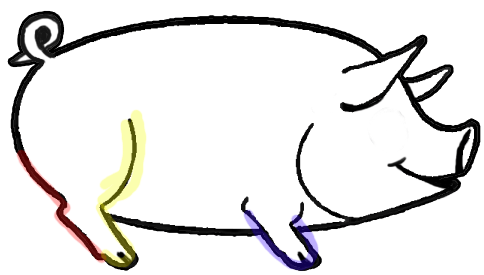484x275 Step Drawing Cartoon Pigs