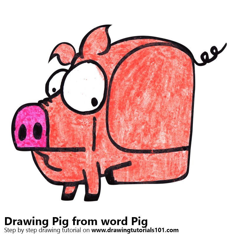 800x800 Learn How To Draw A Pig From Word Pig