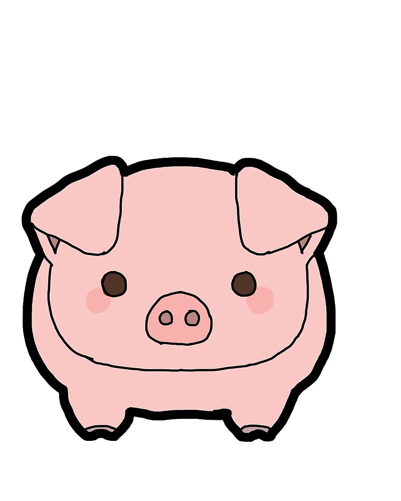 800x1000 Pig Drawing
