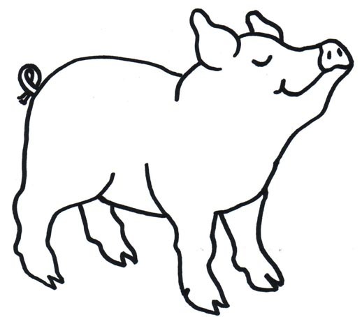 518x454 Pig Drawing Clipart Clipart Portal