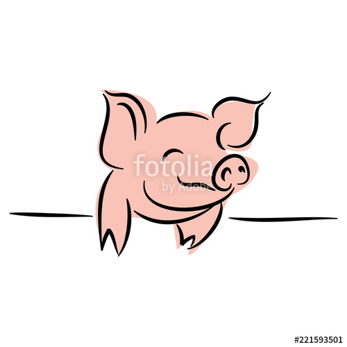 500x500 Drawing Of Cute Pig Vector Illustration Simple Concept Zodiac