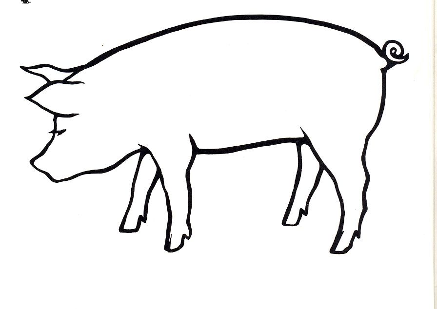 896x634 Pig Drawings Animals Pig Gilt Line Art Art Line Art, Art