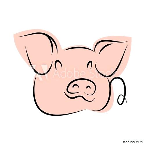 500x500 Cute Pig Drawings Piggy Drawing Pig Cute Pig Drawings Step