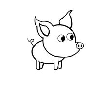 224x192 Drawing Pigs
