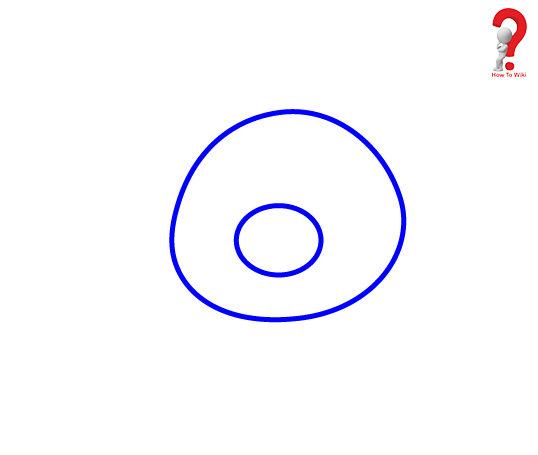 538x455 How To Draw A Pig For Kids Complete Guide How To Wiki