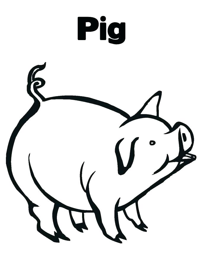 685x886 Printable Peppa Pig Coloring Pages Free Printable Pig Colouring