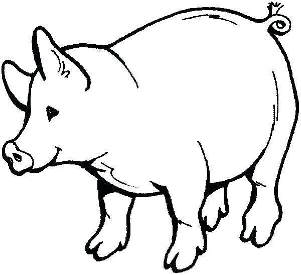 Pig Drawing For Kids | Free download on ClipArtMag