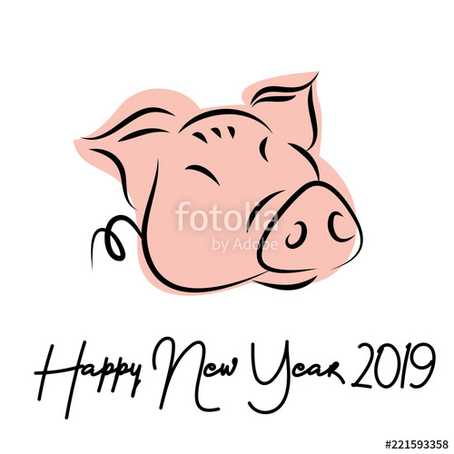 500x500 Drawing Of Cute Pig Vector Illustration Simple Concept Zodiac