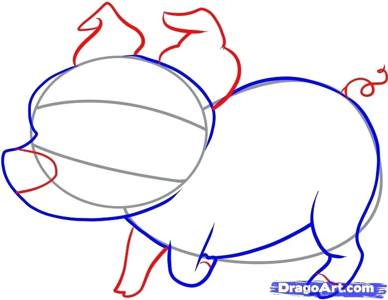 779x604 Easy Pig Drawing