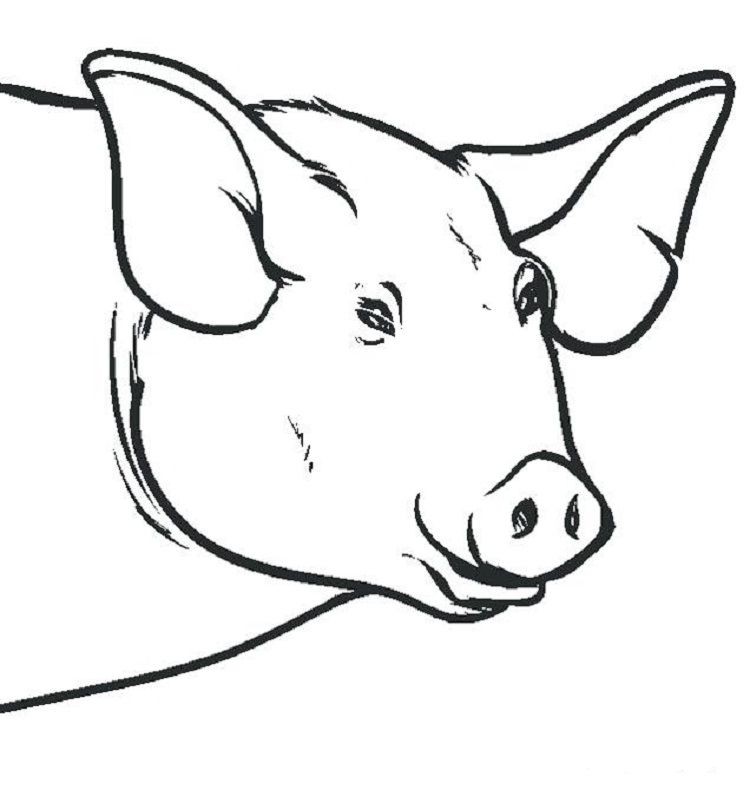 750x790 Cow Mask Coloring