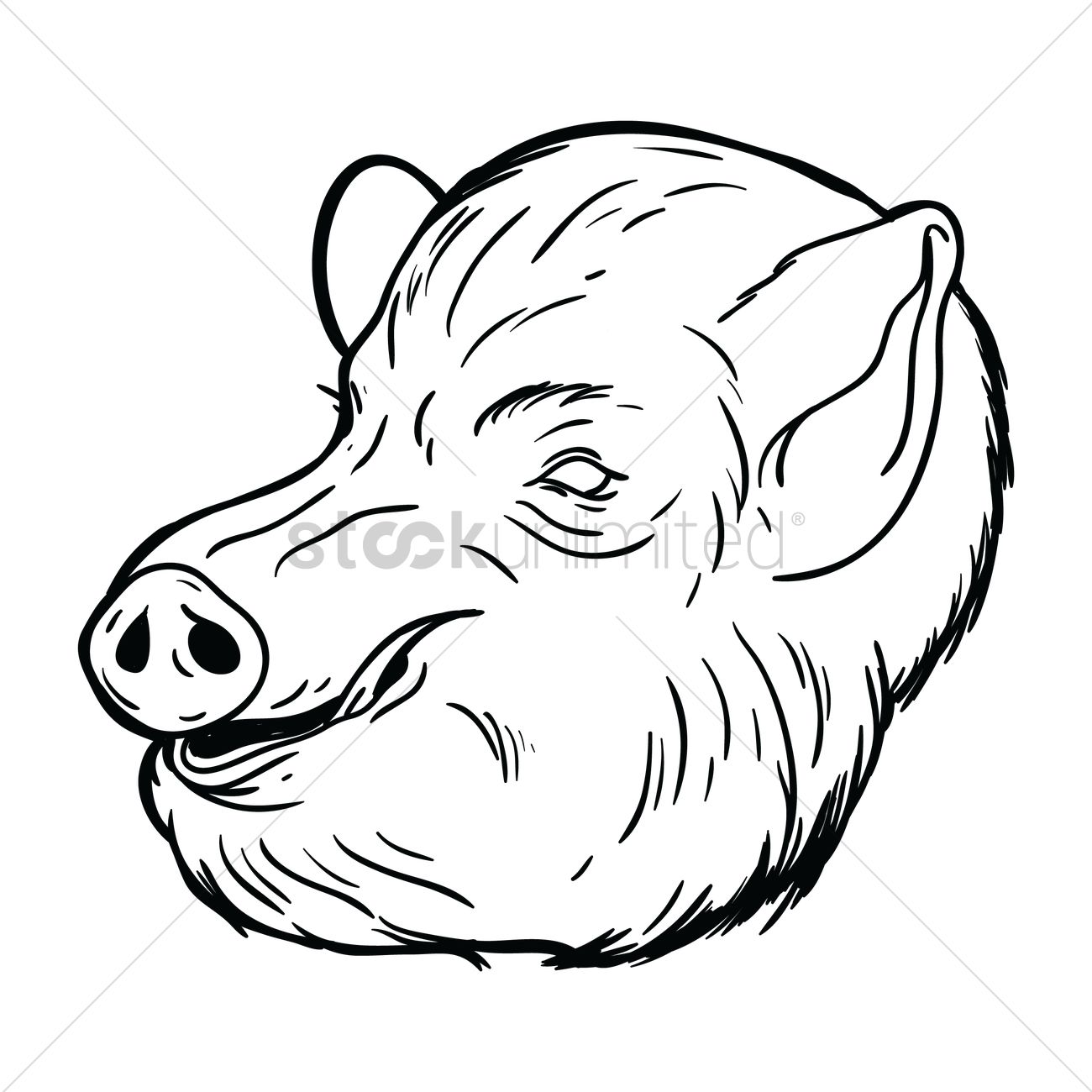 1300x1300 Free Pig Face Vector Image
