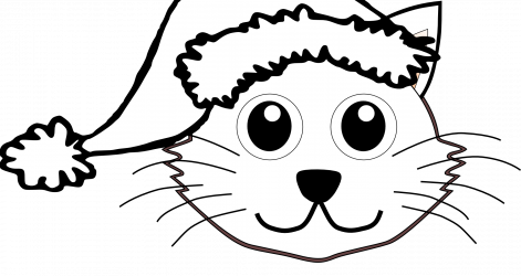 471x250 How Do You Draw A Pig Face To Peppa Cartoon Step