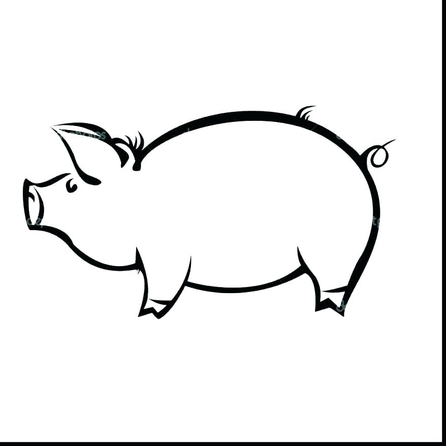 878x878 Pig Face Coloring