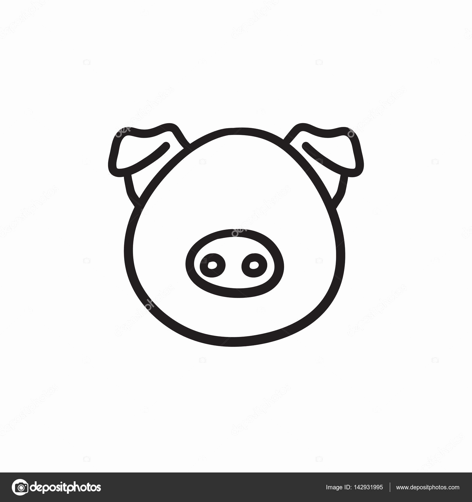 1600x1700 Pig Face Sketch Best Of How To Draw Easy Animals Easy Step