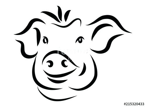 500x367 Simple Pig Drawing