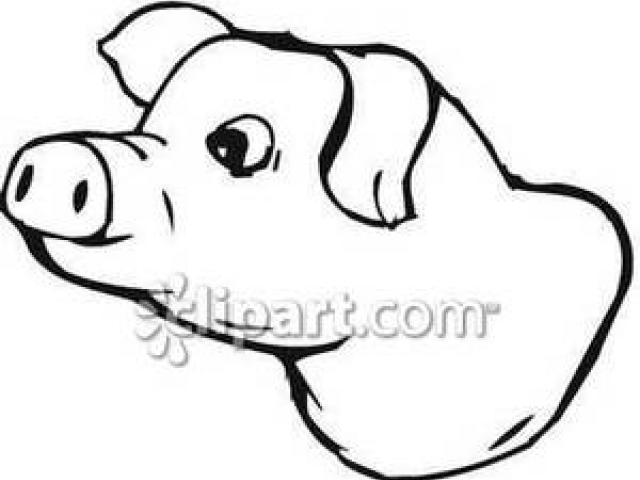640x480 Pig Head Cliparts