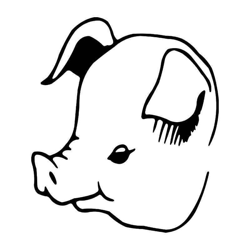 Pig Head Drawing | Free download on ClipArtMag