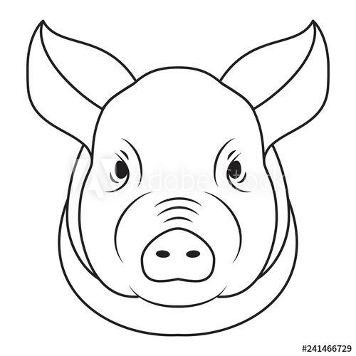 500x500 Pig Head Isolated On White Background Pork Meat Design Element