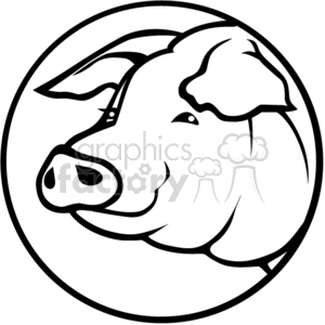 300x300 Pig Head Clipart Royalty Free Clipart